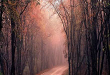 【原创】竞彩足球推荐:周日015英超 伊普斯VS曼城.